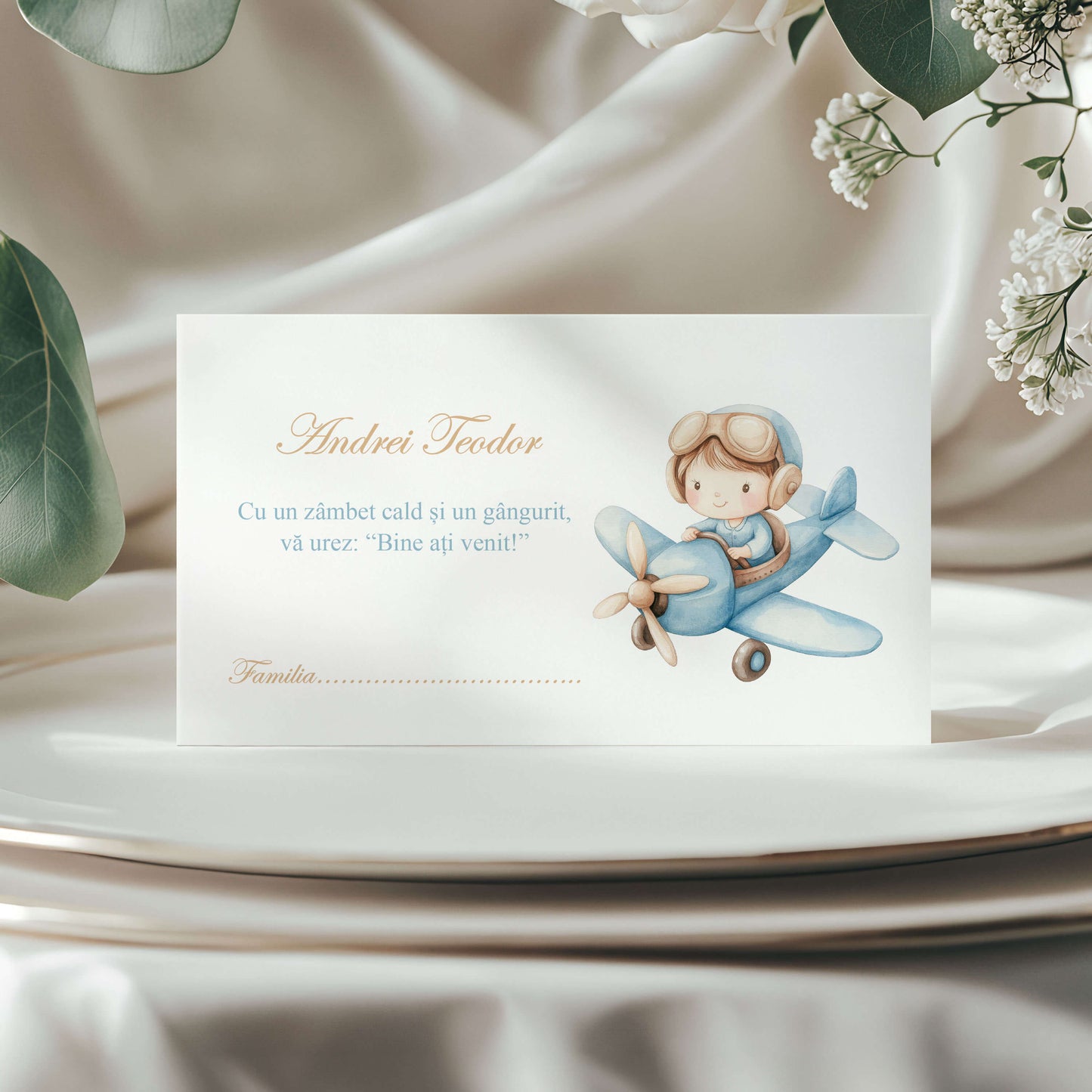 Plic de Bani Botez Baiat in Avion