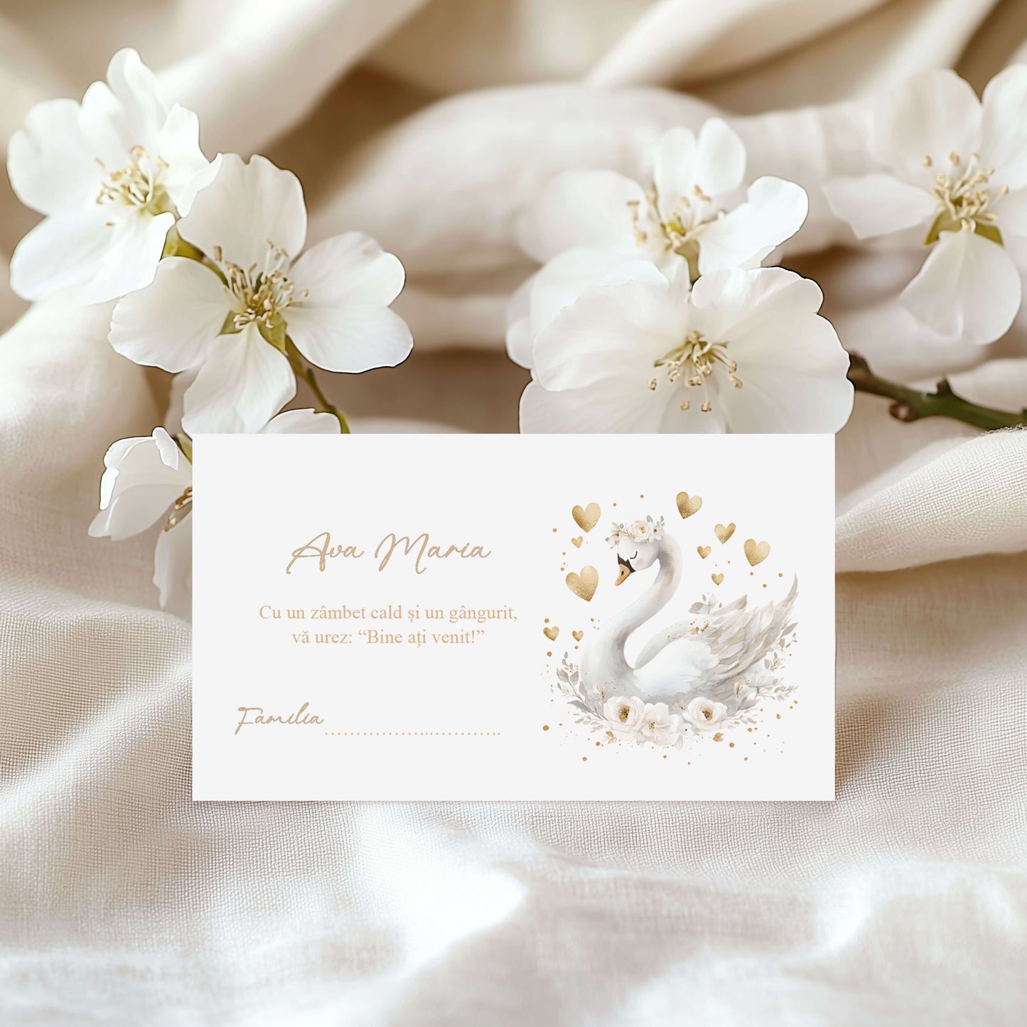 Plic de Bani Botez Fetita Lebada