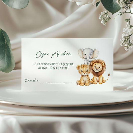 Plic de Bani Botez Baiat Animalute