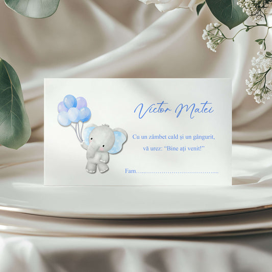 Plic de Bani Botez Baiat Elefantel Bleo