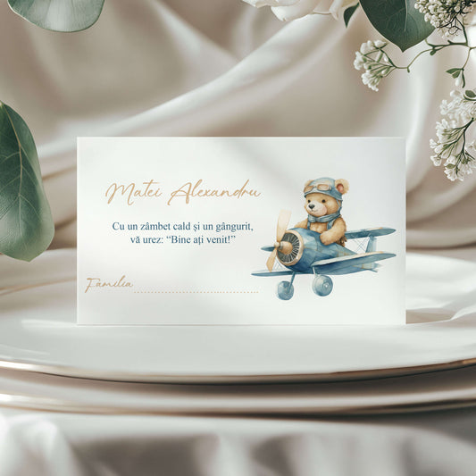 Plic de Bani Botez Baiat Ursulet in Avion