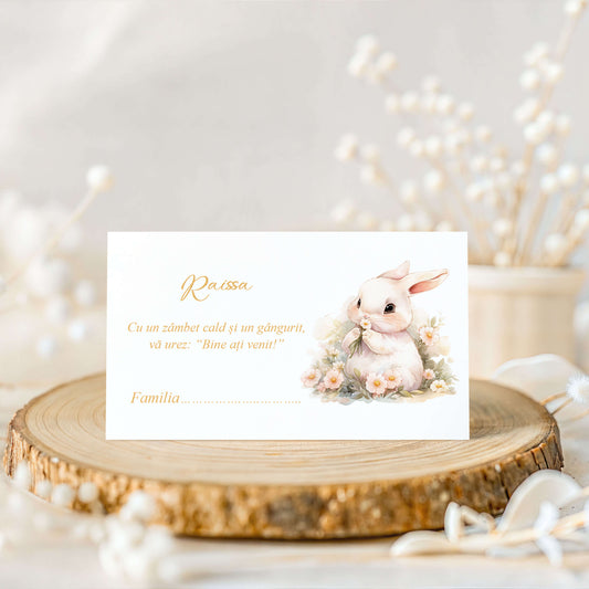 Plic de Bani Botez Fetita Iepuras