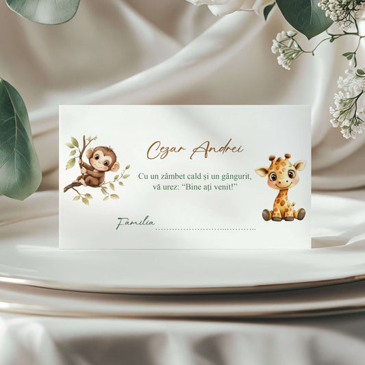 Plic de Bani Botez Baiat Zoo